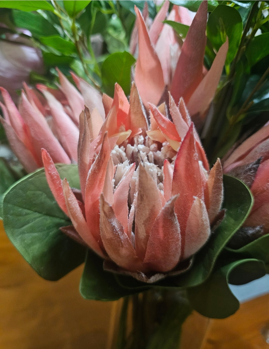 PROTEAS (Artificial)