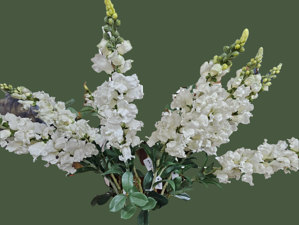 SNAPDRAGON - White