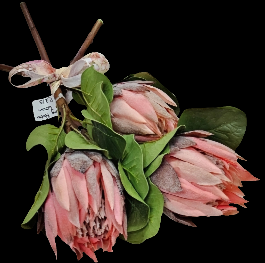 PROTEAS (Artificial)