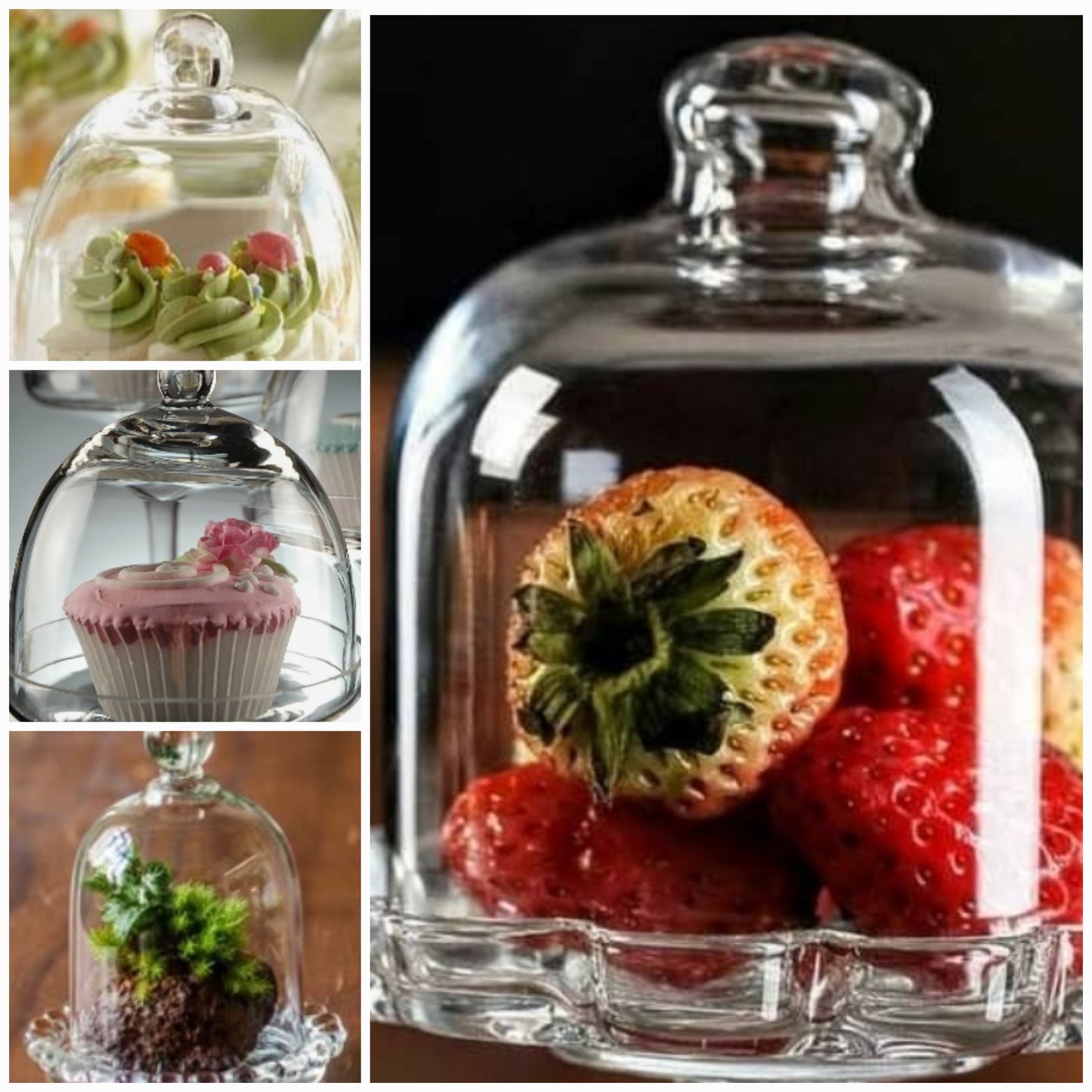 Mini Domes