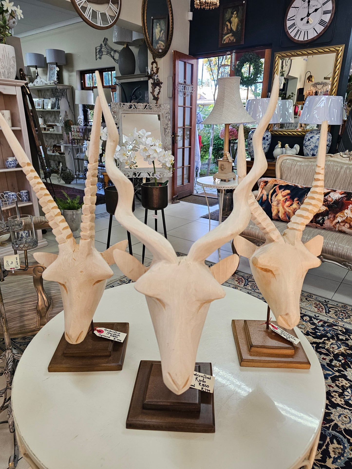 Kudu head