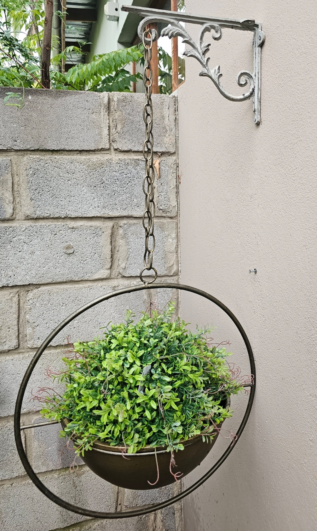 HANGING PLANT HOLDER