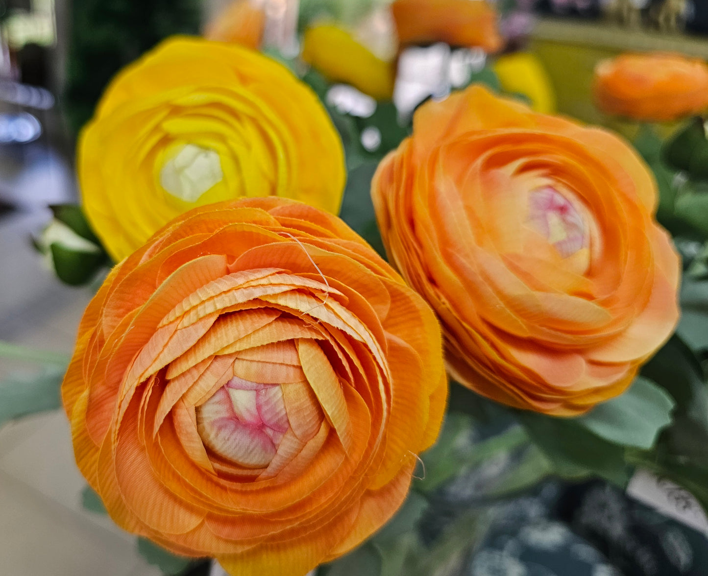 RANUNCULUS - Orange