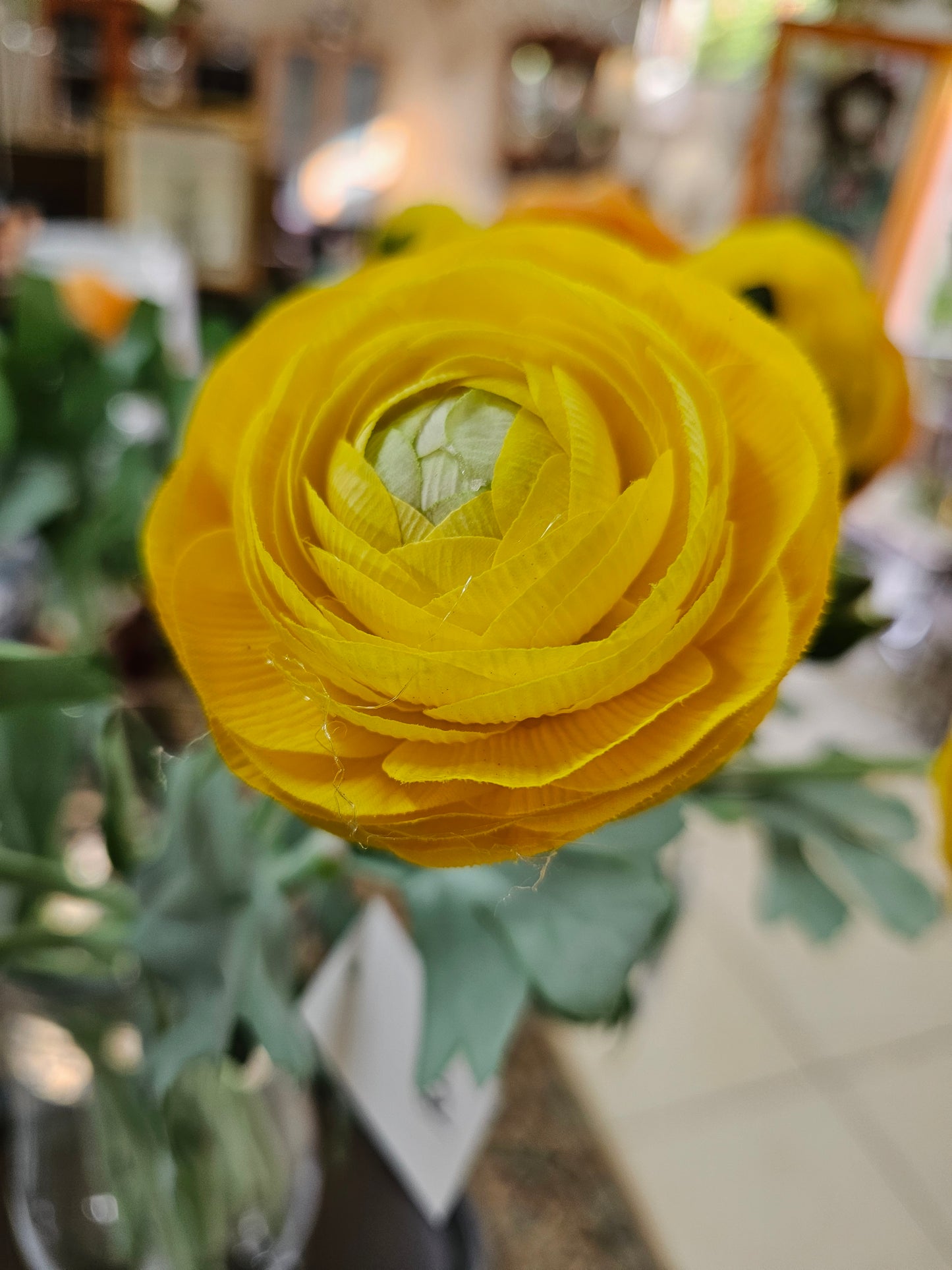 RANUNCULUS