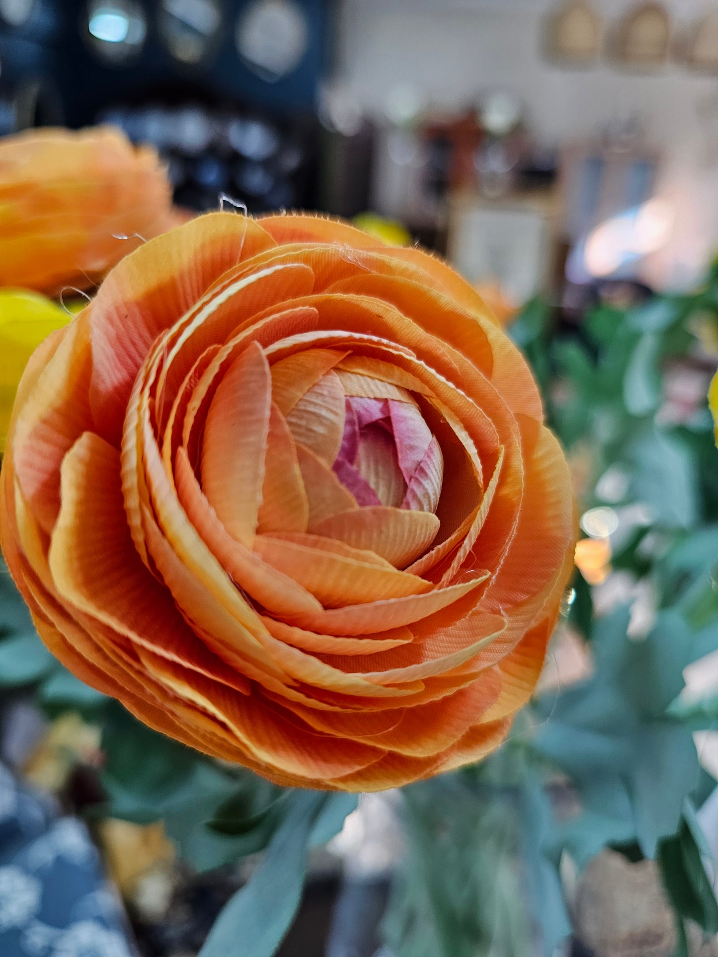RANUNCULUS - Orange