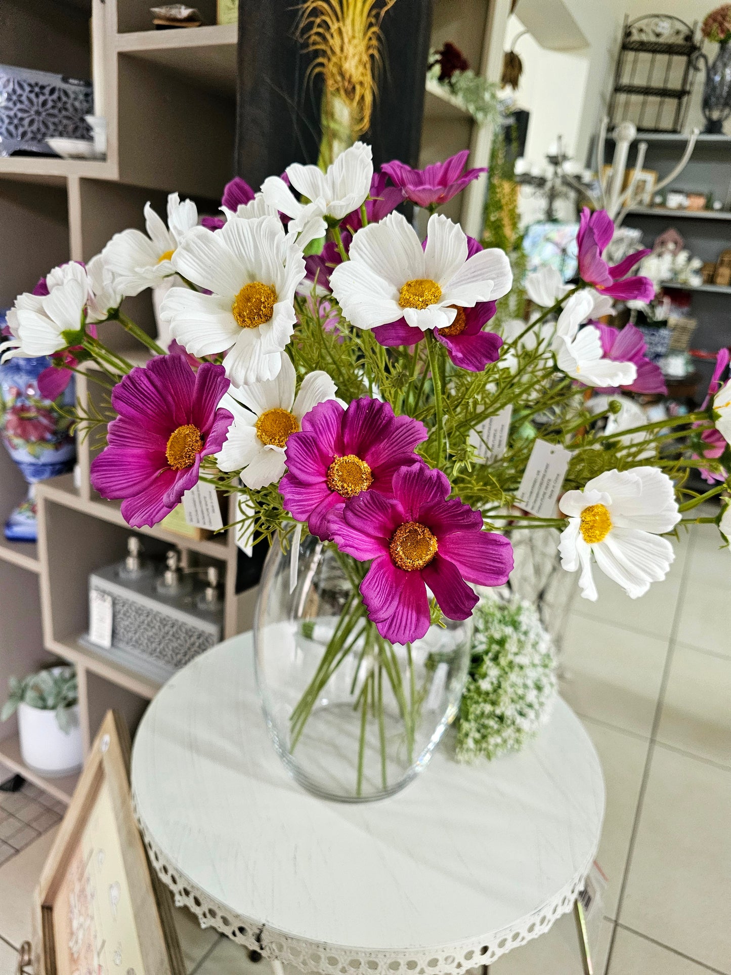 Kosmos - Coreopsis in white