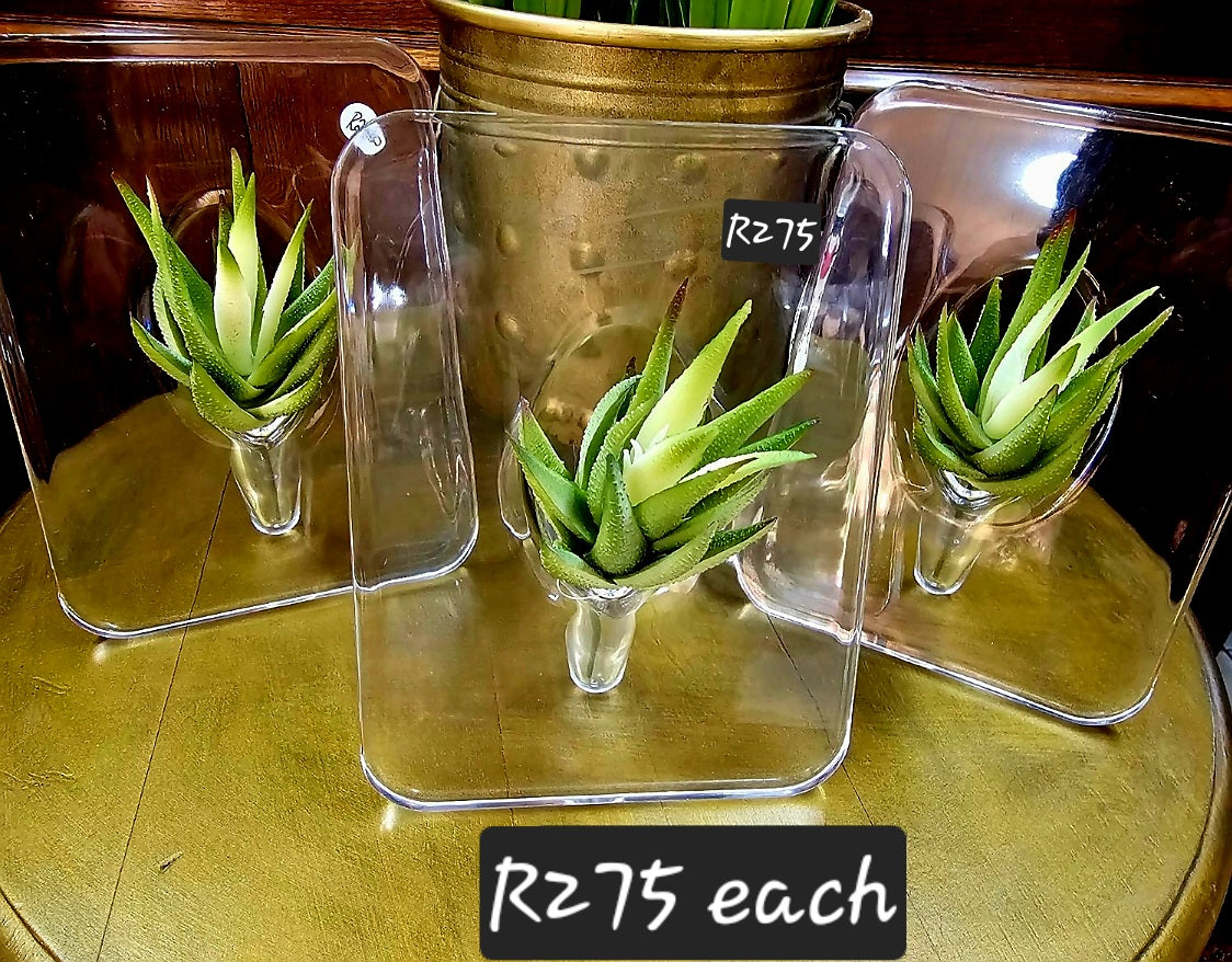 Perspex flower stand