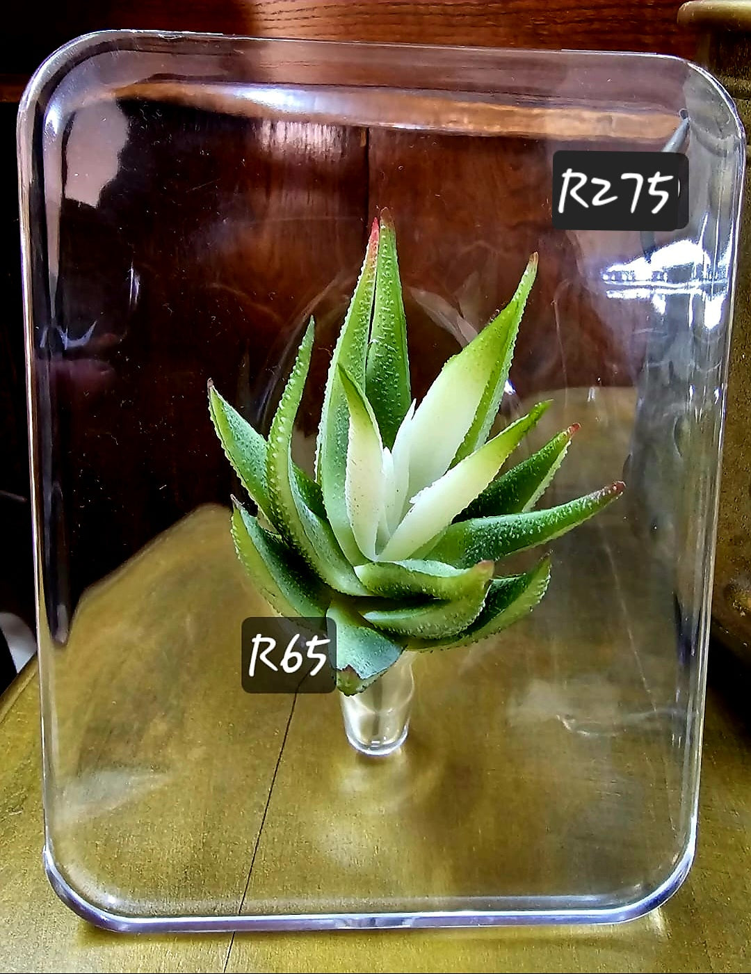 Perspex flower stand