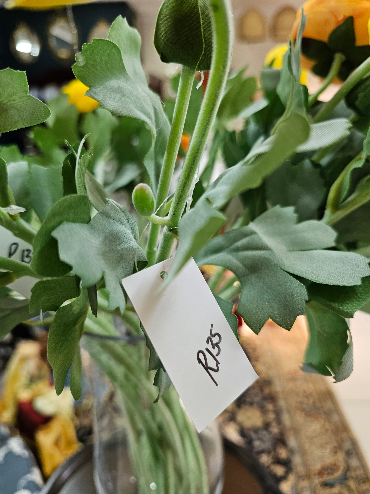 RANUNCULUS