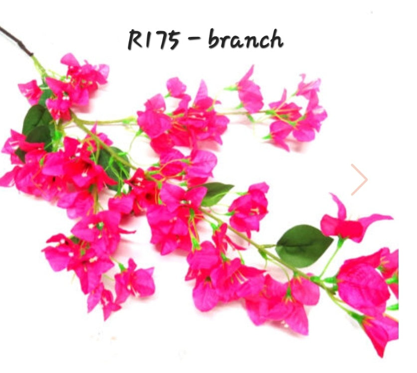 BOUGAINVILLEA BRANCH
