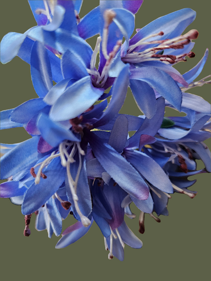 AGAPANTHUS - BLUE