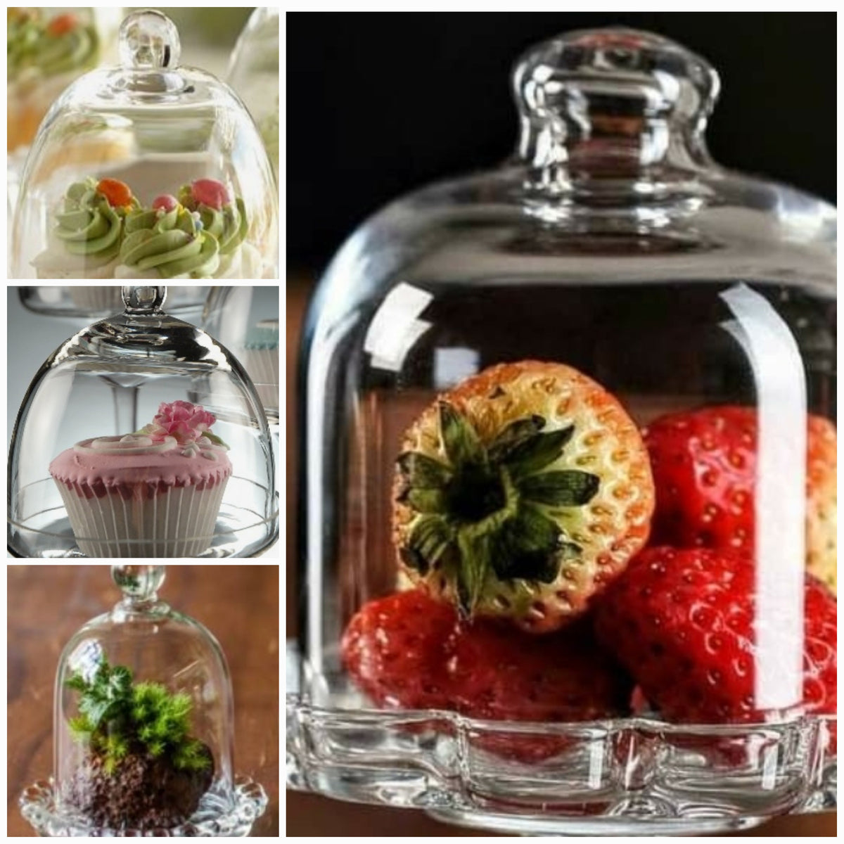 Mini Domes