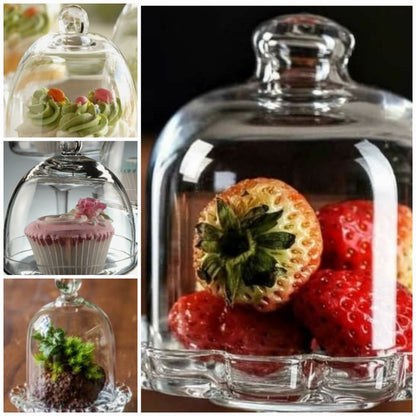 Mini Domes