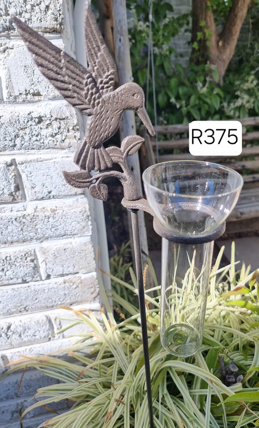 RAIN GAUGE HUMMING BIRD