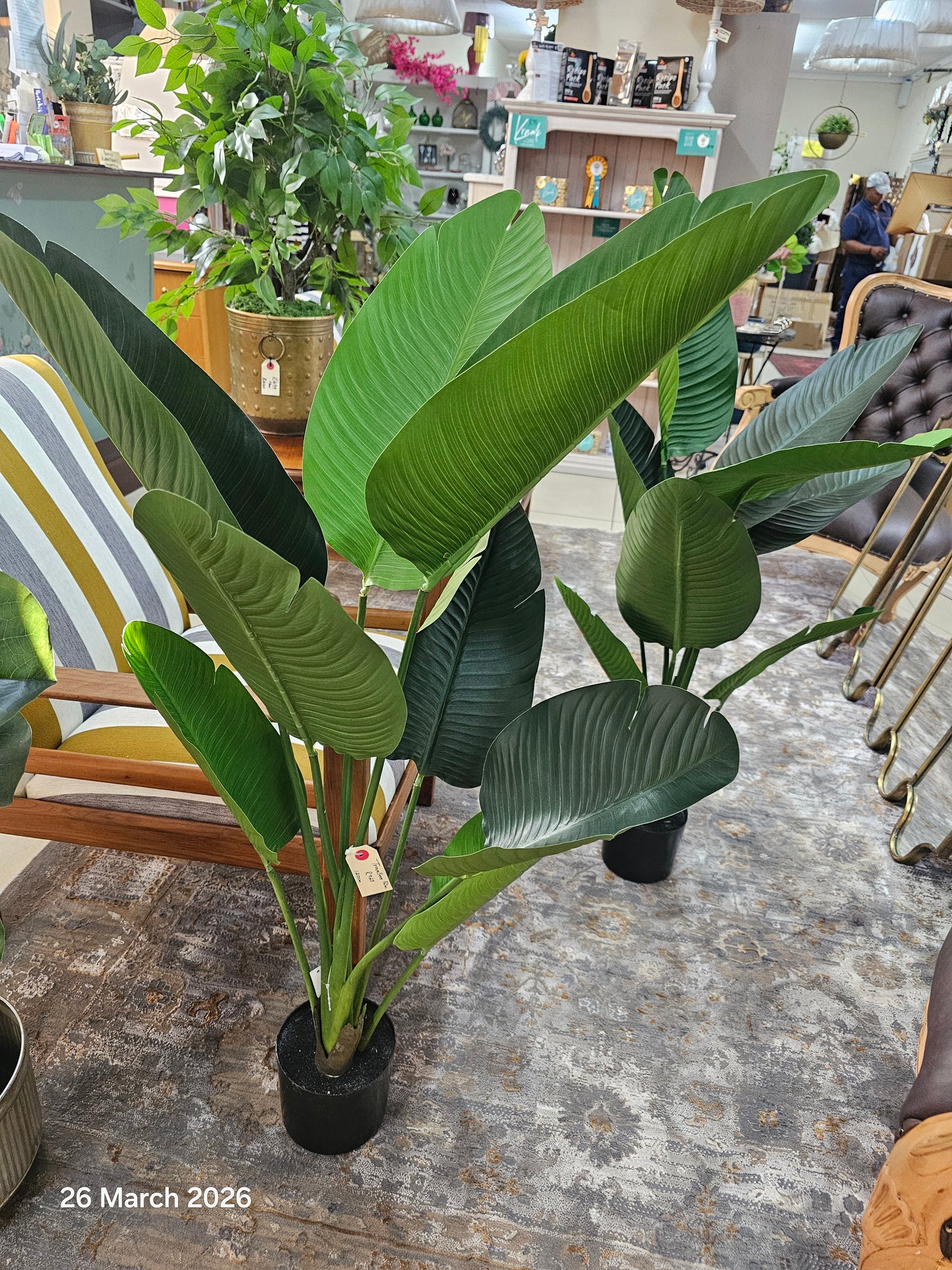 Artificial Palm