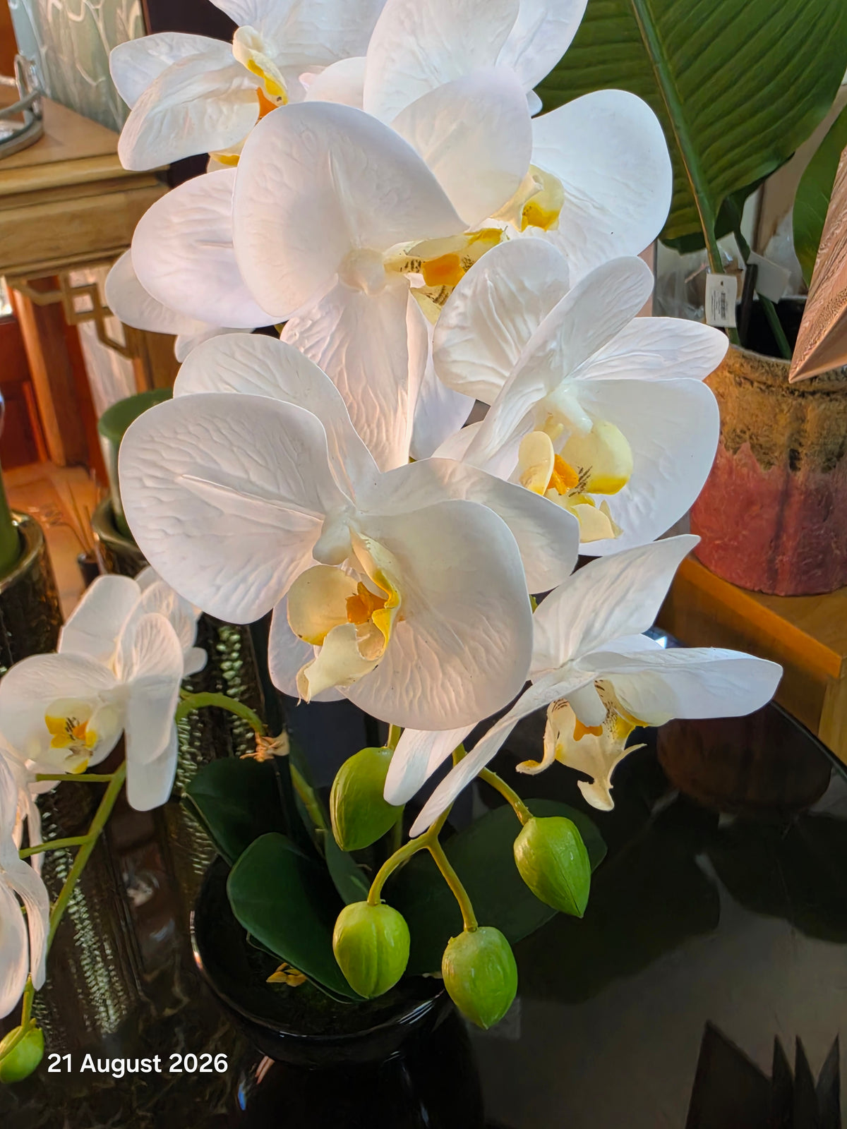 Artificial Orchid