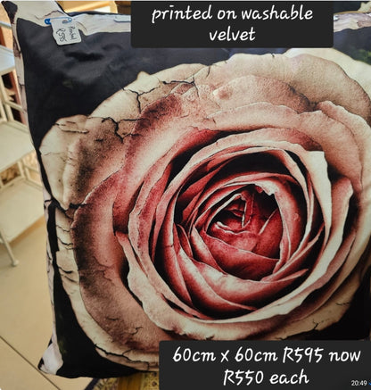 Cushions