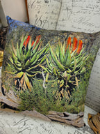Scatter Cushions