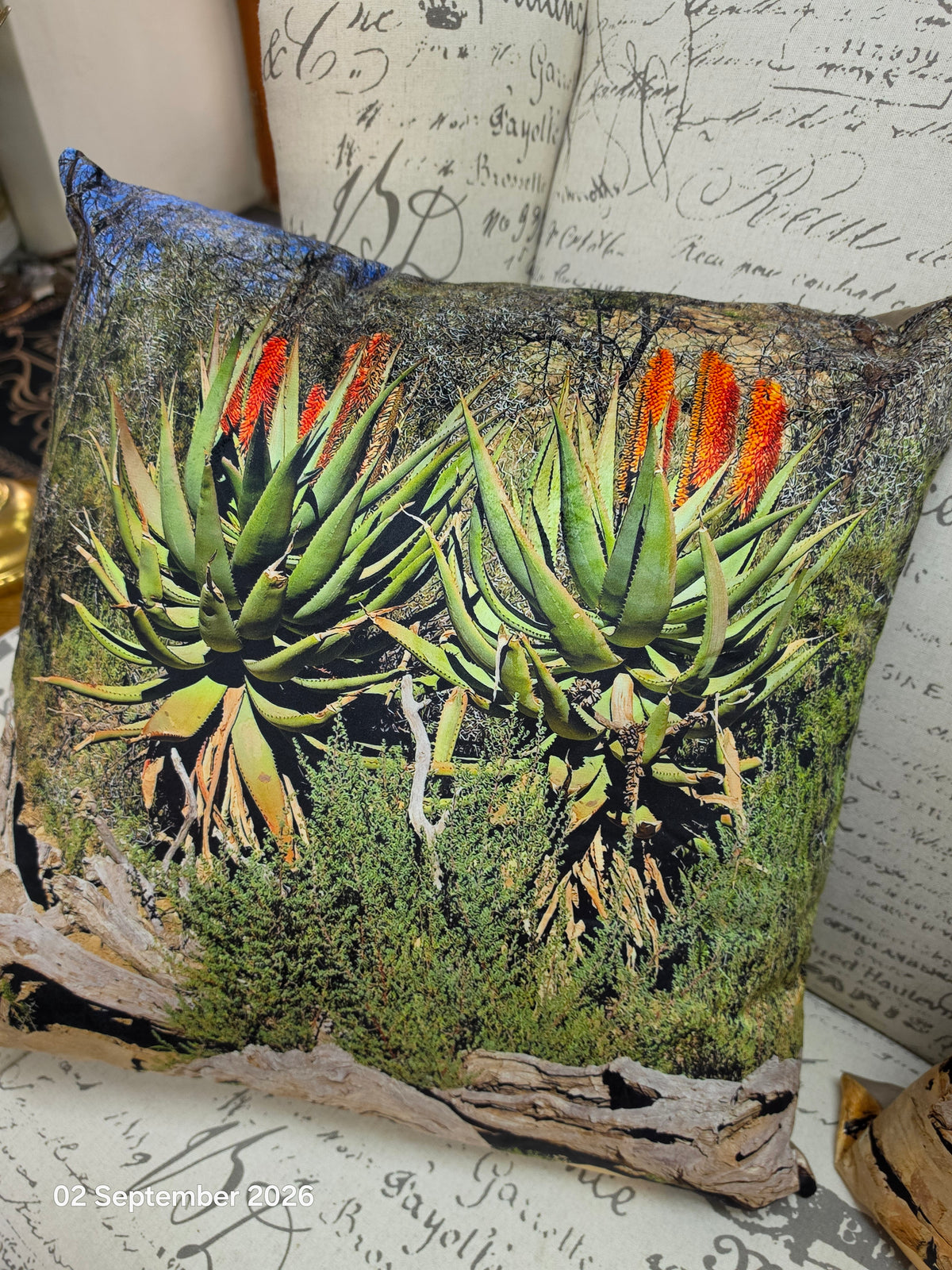 Scatter Cushions