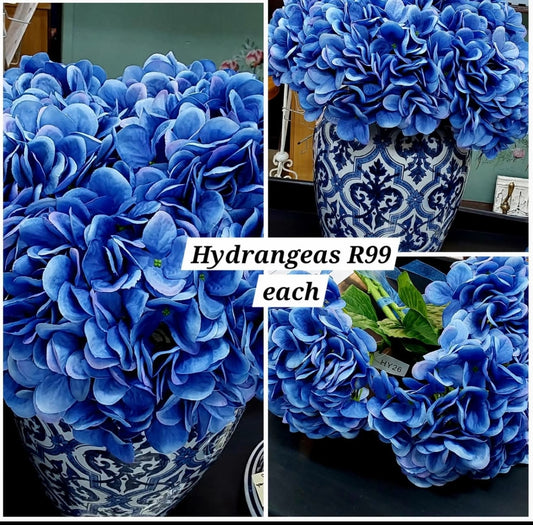HYDRANGEAS