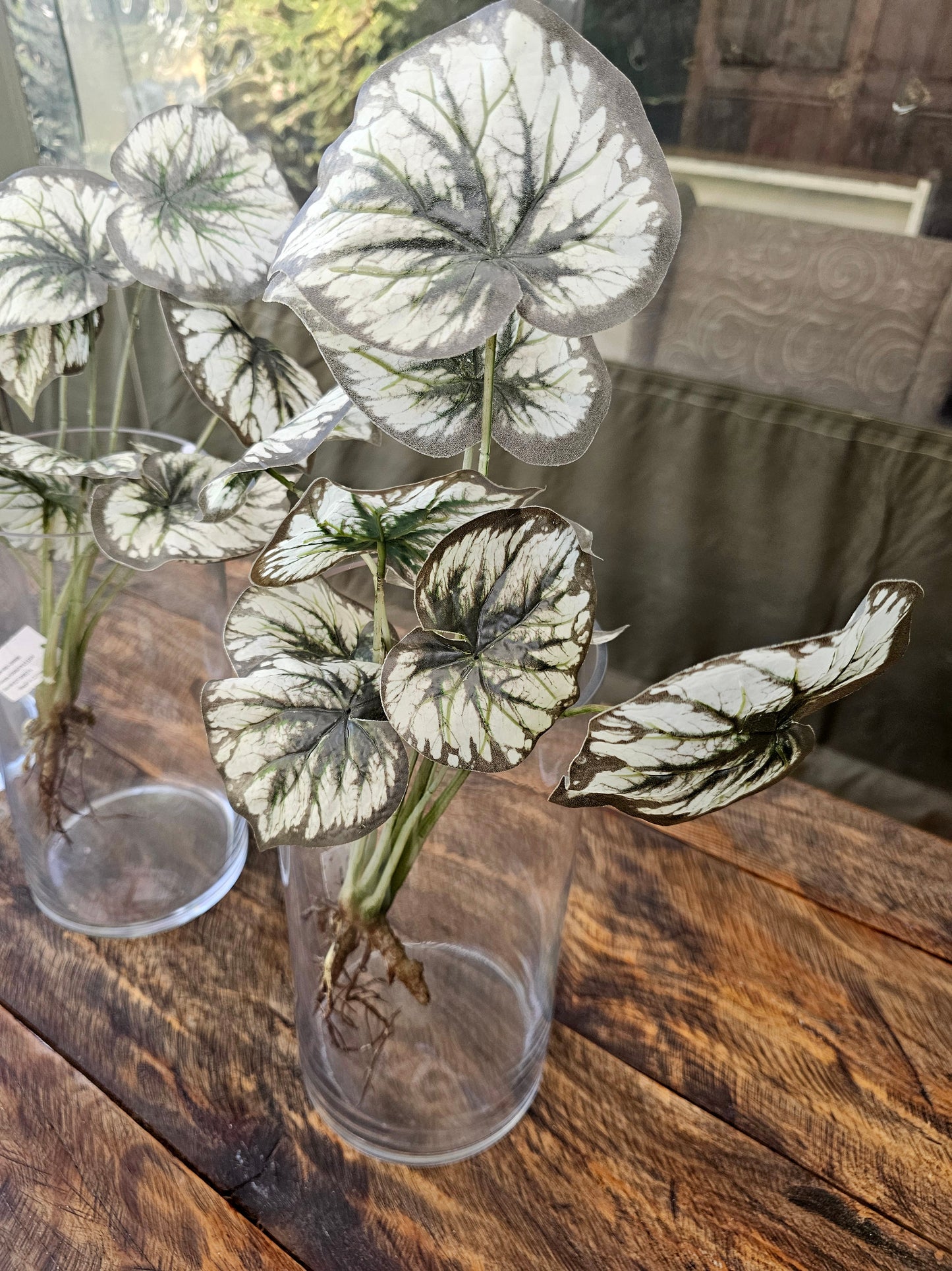 GLASS VASE + PLANT