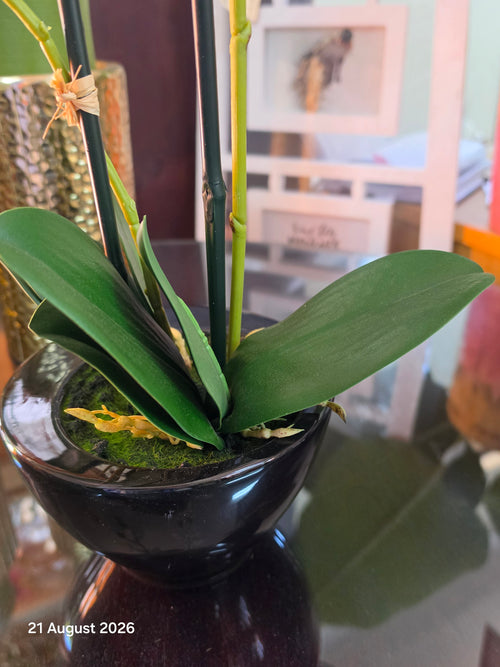 Artificial Orchid