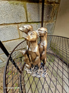 MEERKAT FAMILY
