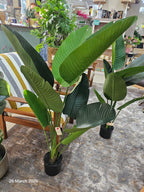 Artificial Plant