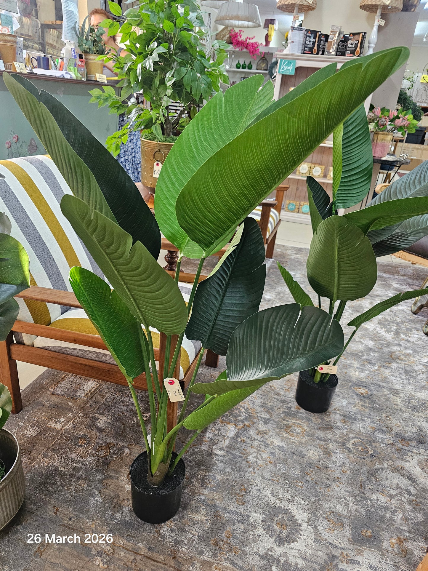 Artificial Palm
