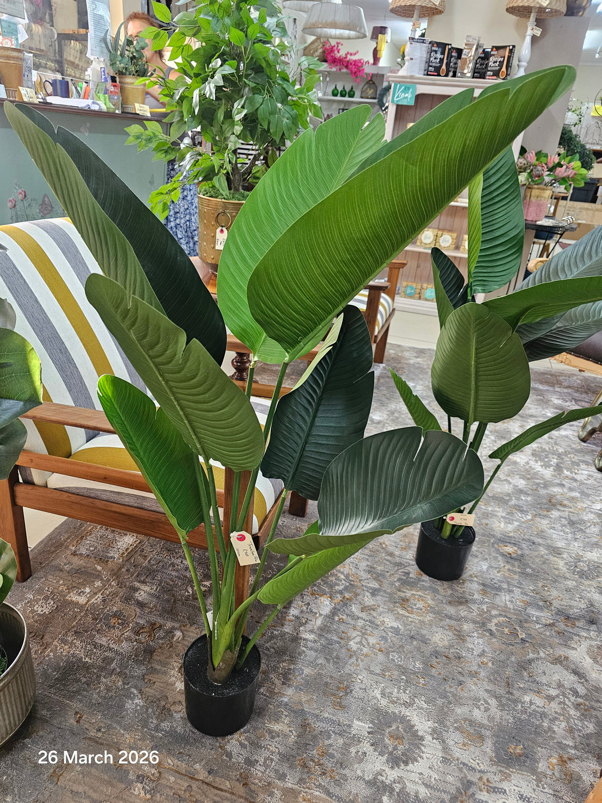 Artificial Plant