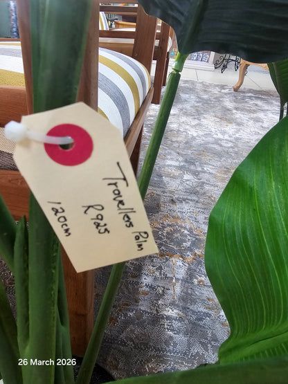 Artificial Palm