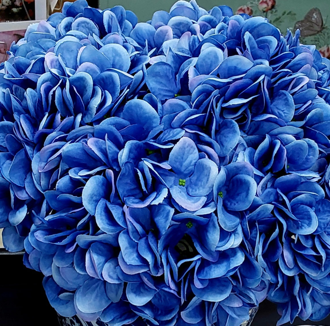 HYDRANGEAS