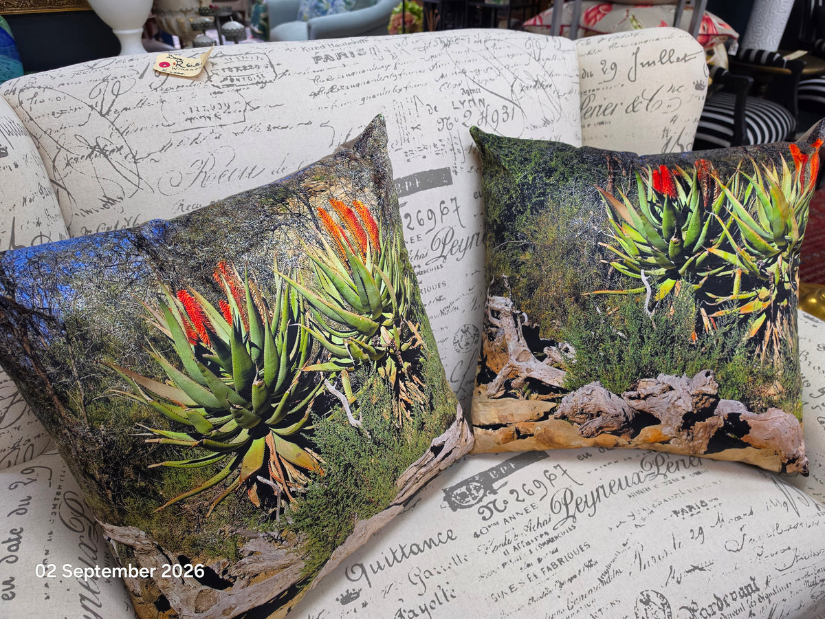 Scatter Cushions