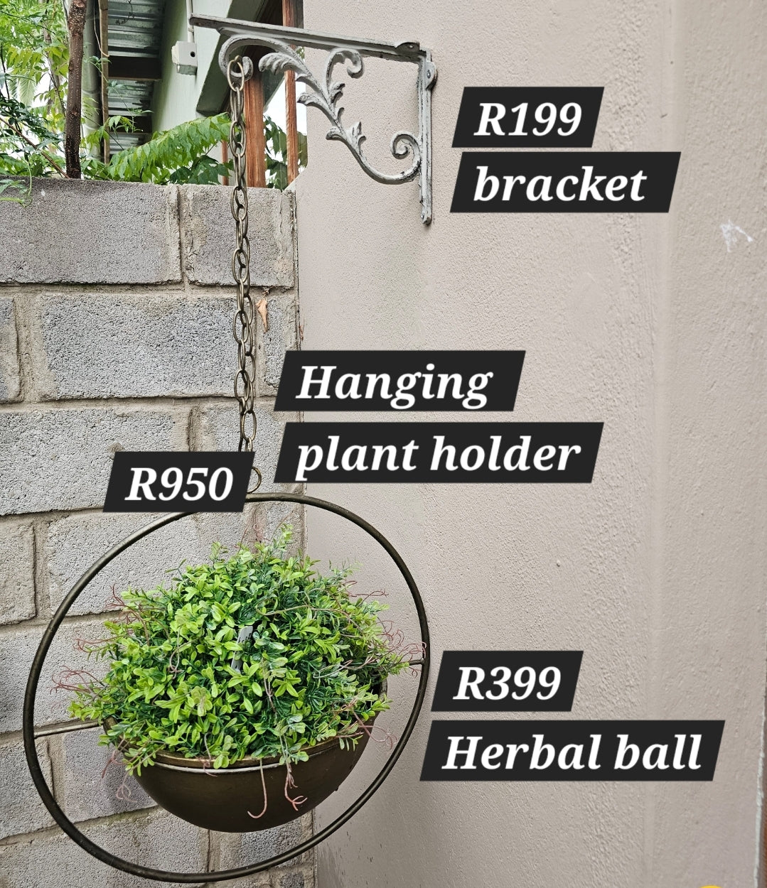 HANGING PLANT HOLDER