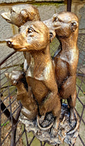 MEERKAT FAMILY