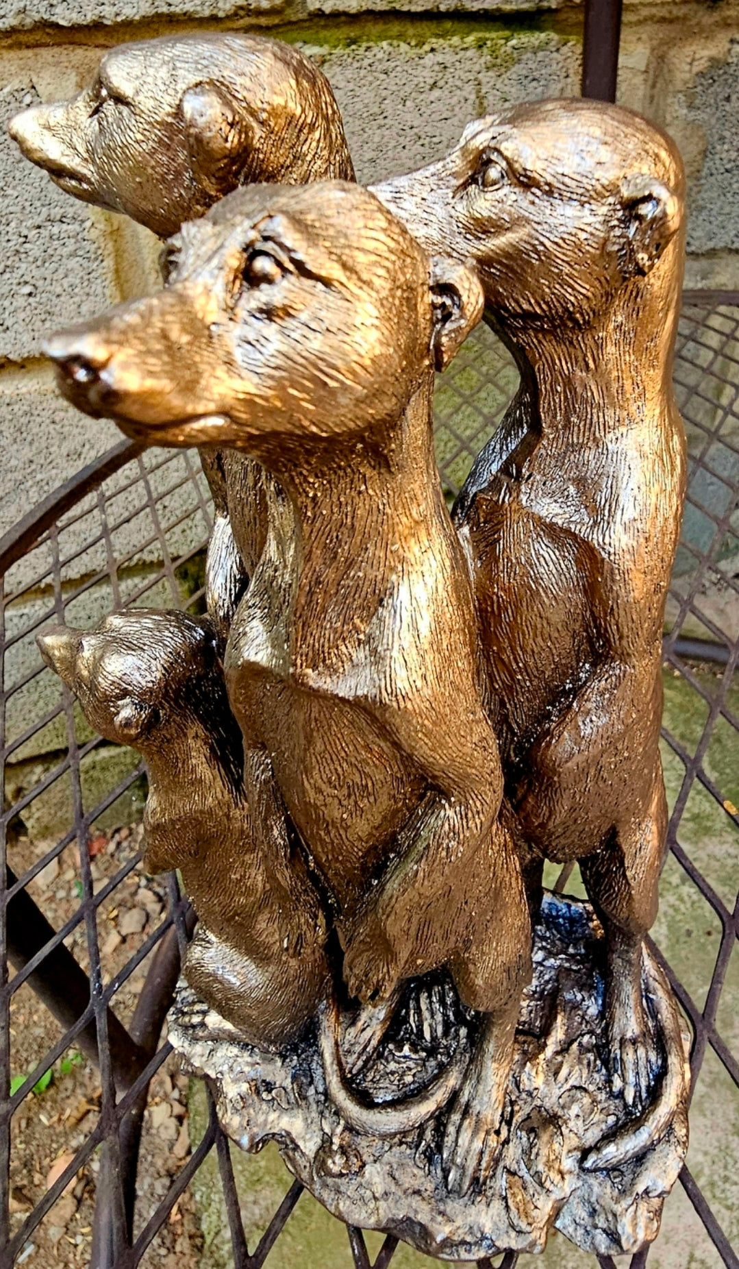 MEERKAT FAMILY