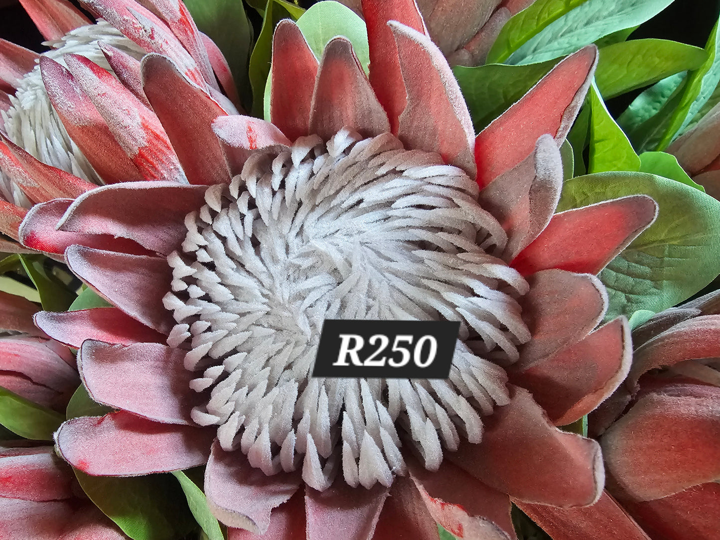 Artificial Proteas
