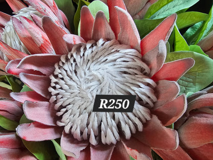 Artificial Proteas