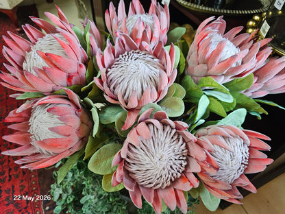 Artificial Proteas