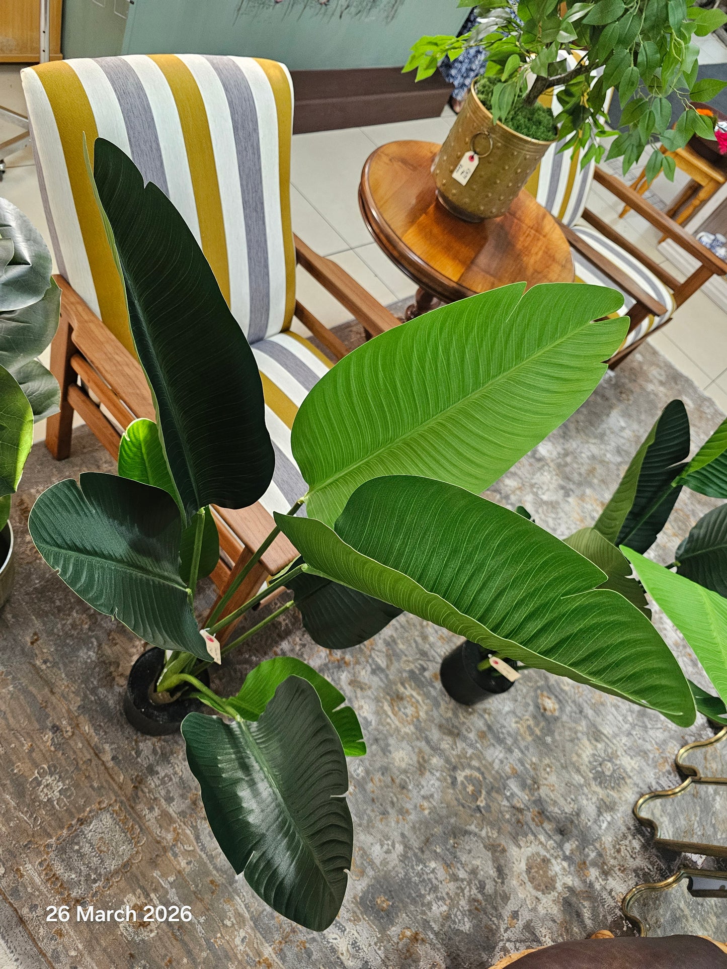 Artificial Palm