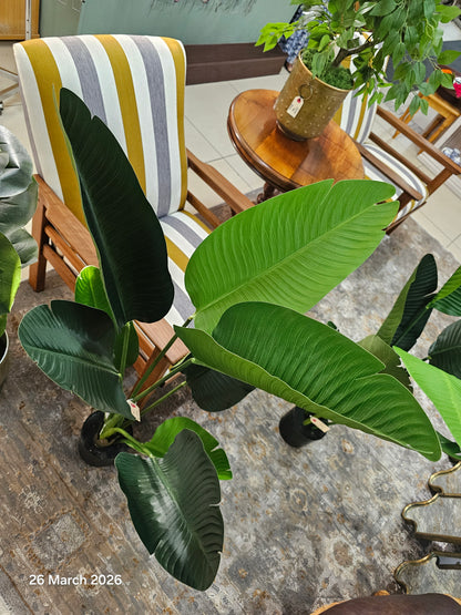 Artificial Palm