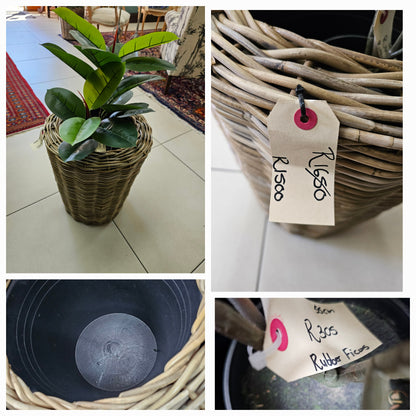 LARGE RATTAN BASKET