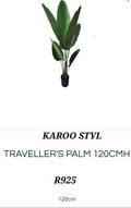Travelers Plant (Artificial)