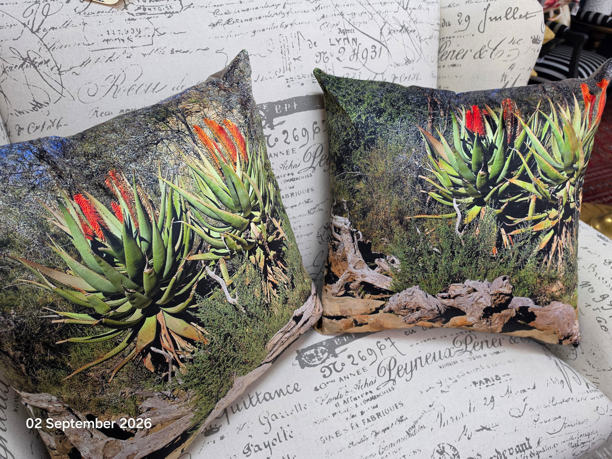 Scatter Cushions